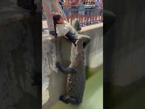 Ôi hết cả hồn #xuhuongyoutube #shorts 