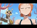 Nami The Best Navigator
