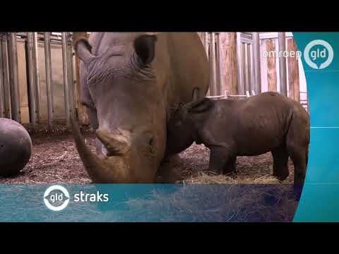 GLD Nieuws 11 augustus 2017