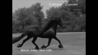 Christina Camara Chanson-Sängerin - Je t 'ai dans ma peau - Edith Piaf