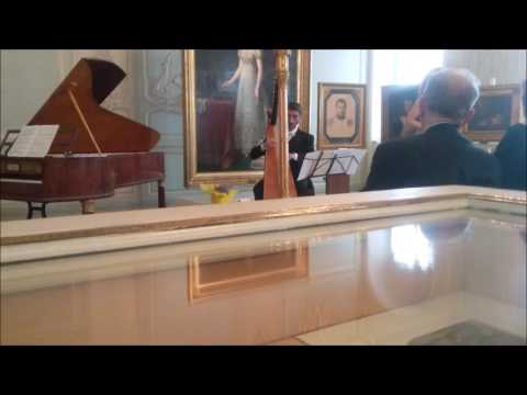 W. A. Mozart: Voi che sapete