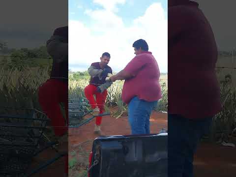 pra você de Bela Vista de Goiás variedades do Jhonny Andrade apresenta o melhor #jhonnyandrade