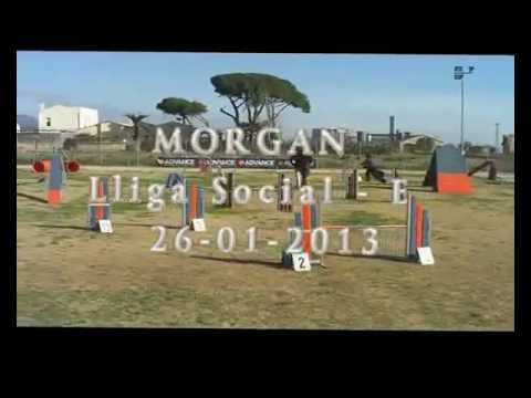 Morgan - Lliga interna Gener 2013