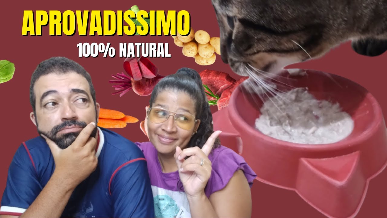 SACHE  PARA GATOS SUPER NUTRITIVO E BARATO
