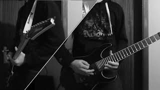 Amon Amarth - The last with pagan blood (cover)