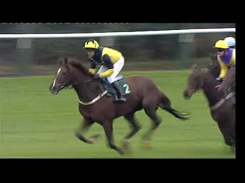 2009 Irish Times Amateur Chase - Open meeting