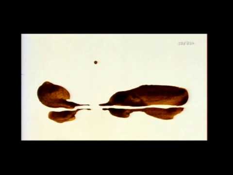 Michaël Dudok de Wit - The Aroma of Tea (animated short film 2006)