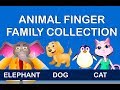 Animal Finger Family Collection 8 Animal Finger Families Medley