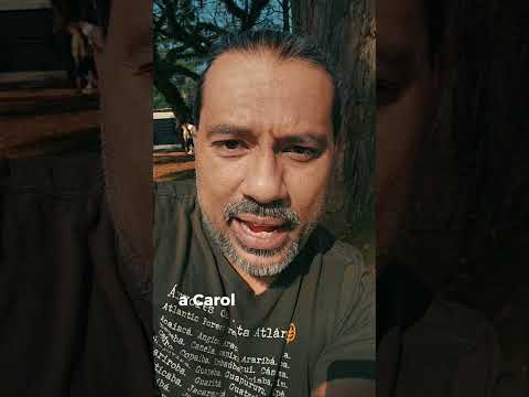 Sobre a Timbau Estruturas de Madeira