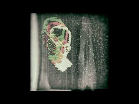 Wolf Wrams - Daring Nature