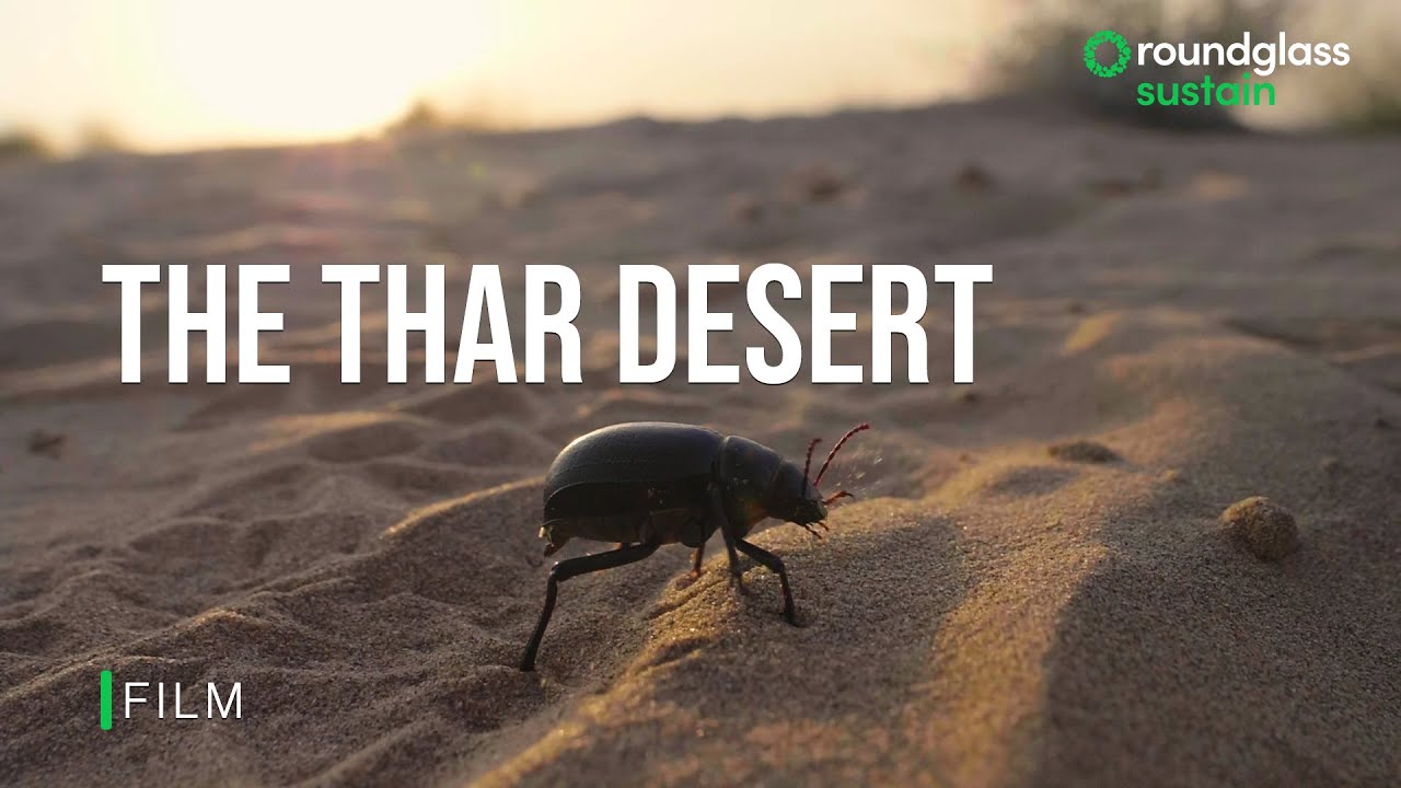The Thar Desert: The Secret Lives of a Harsh Desert