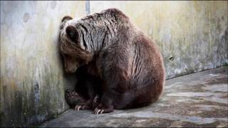 Mogwai - The lord is out of control