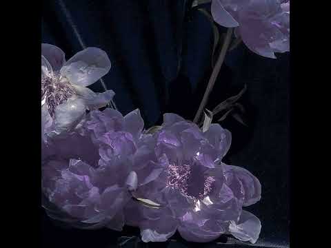 cricket, muma & dafina zeqiri - pa ty [slowed]