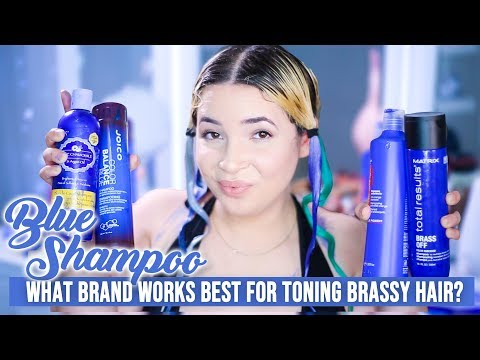 THE POWER OF BLUE SHAMPOO | Which one Should You Buy?