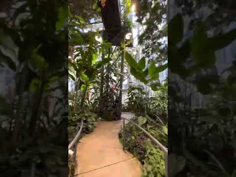 Amazon Spheres @Seattle WA part-2