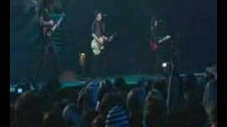 The (After) Life of the Party (YWT)