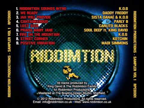 Riddimtion Productions feat Madi Simmons - Positive Vibrations