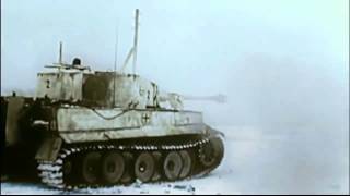 the dream of serpent