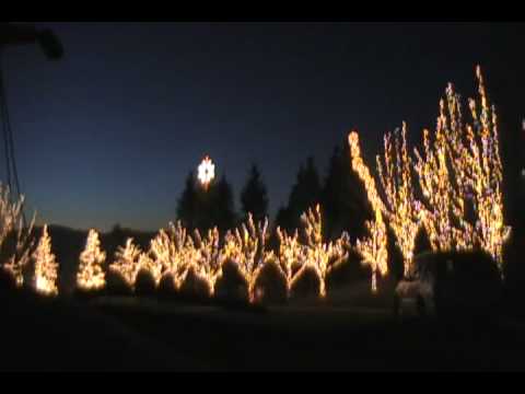 holdman christmas 2008