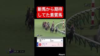 【素質馬】新馬から期待していた素質馬が未勝利で苦戦するわけないだろ #競馬