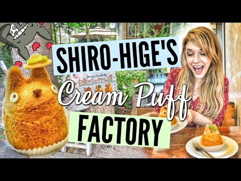 我的鄰居東都主題甜品 // 志賀的奶油泡芙工廠 // 東京美食指南 (MY NEIGHBOR TOTORO THEMED DESSERTS // SHIRO-HIGE'S CREAM PUFF FACTORY // Tokyo Food Guide)