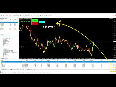 Video USD Easy Scalper