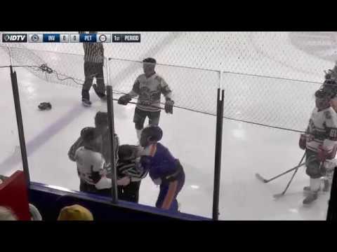 Invicta Dynamos 1-3 Peterborough Phantoms 24/02/19