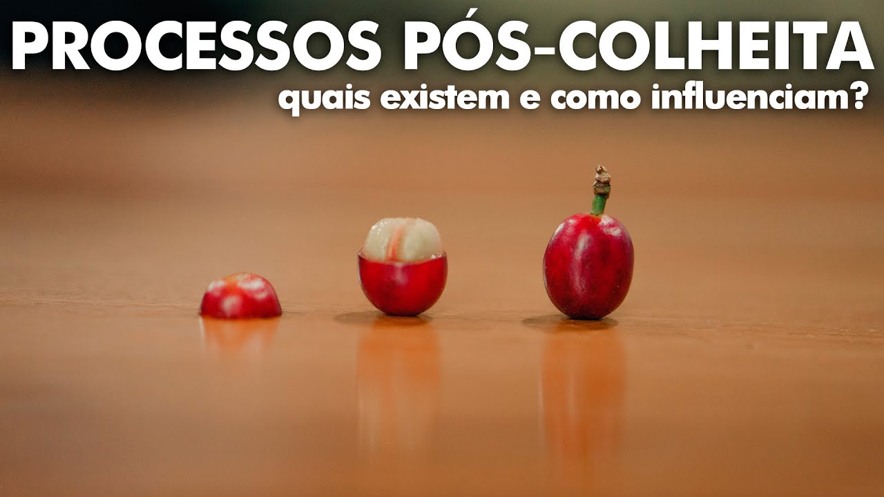 INFLUÊNCIAS DOS PROCESSOS PÓS-COLHEITA