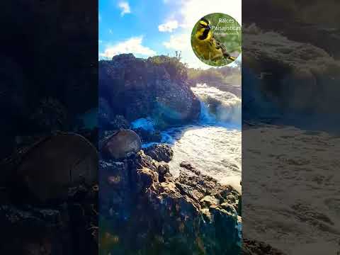Cueva de la Cascada Queguay  Paysandú, Uruguay 💦 #turismo #nature #travel #uruguay