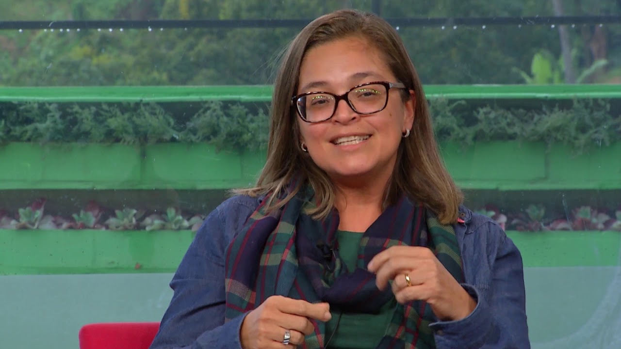 5 Anos do Plano Nacional de Educação | Conexão