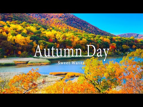 11 HRS Incredible Fall Foliage - Best 4K Autumn Nature Scenes from Around the World + Calming Music