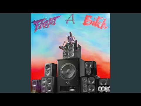 Fight A Bitch