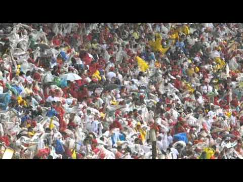 2008 Brazilian Grand Prix Race Edit
