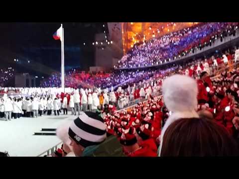 Russian team on the opening ceremony Sochi