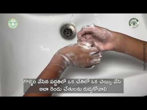 hand wash with Soap ?