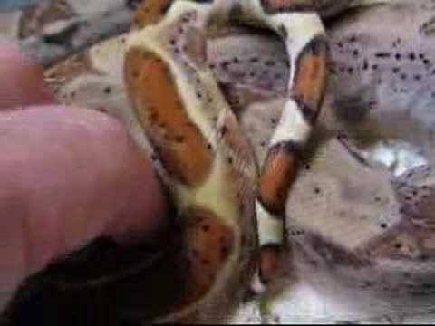 YouTube Video hr2c-mKQj5c