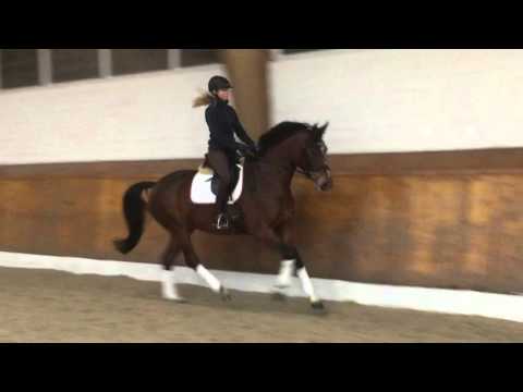 Jette Joop, Stute von Bretton Woods x Just Perfect, geb. 2012