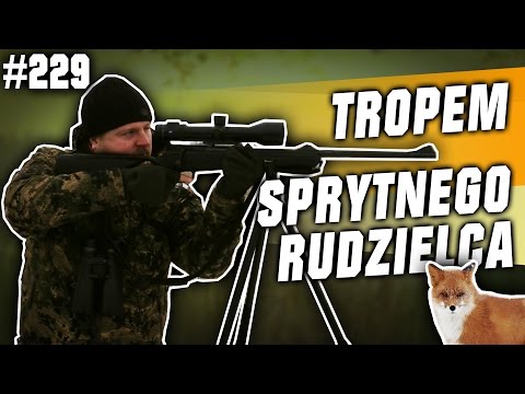 Darz Bór odc 229 - Tropem sprytnego rudzielca