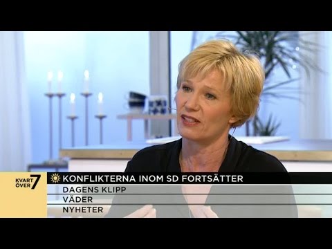 Ann Tiberg om konflikterna inom SD - Nyhetsmorgon (TV4)
