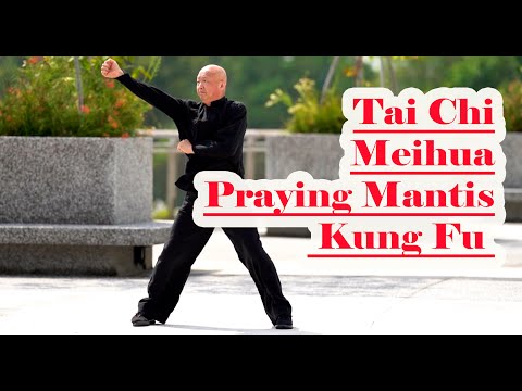 Tai Chi Praying Mantis Kung Fu – Is It Tai Chi or Praying Mantis Kung Fu?