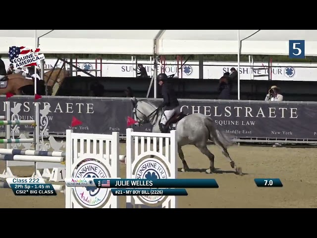 Halfl-brother of this Frozen Embryo is the CSI 1.55m jumping horse My Boy Billl with rider Julie Welles.