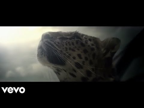 Chasing Shadows - Shakira (Music Video)