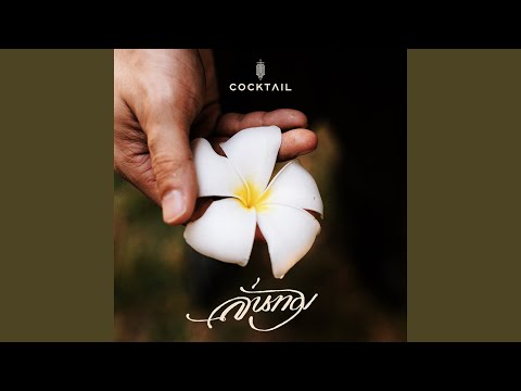 ลั่นทม (From "หอมกลิ่นความรัก") – Cocktail