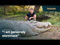 Meet Henry, the world's oldest crocodile | Killer Crocs with Steve Backshall