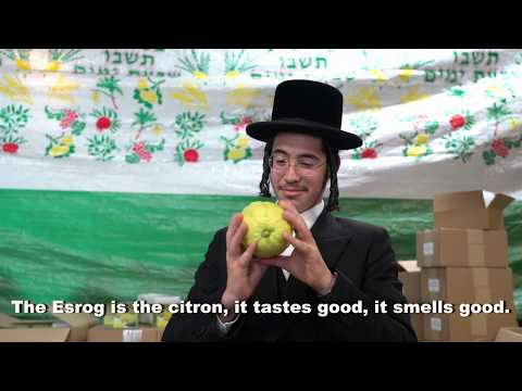 Tripping Kosher: Sukkot Special
