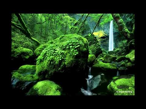 KECAPI SULING SUNDA DENGAN SUARA ALAM 1 JAM- ONE HOURS TERNDING INDONESIA TRADISIONAL MUSIC#music