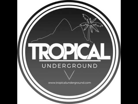 David Vunk: Brutal Earth