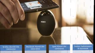 Profesyonel Web Tasarım Hizmetleri