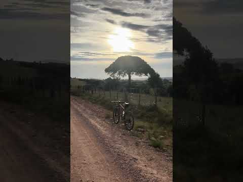 Passo das Pedras - Capão do Leão - Rio Grande do Sul #bike #mtb #cinematic #ciclismo