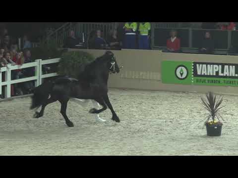 Compilatie rubriek 5